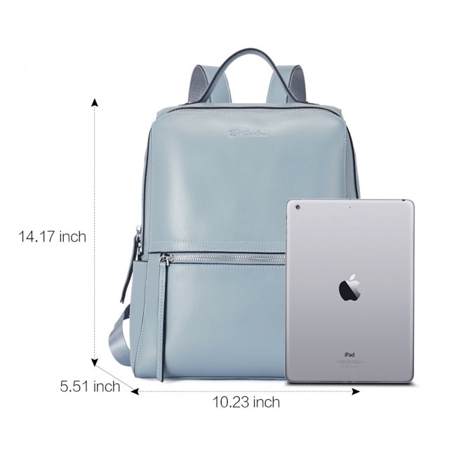 Amazon.com: Ipad Backpack